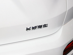 2023款 2.0T 两驱潮野版Plus