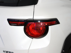 2023款 2.0T 两驱潮野版Plus