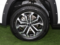 2023款 2.0T 两驱潮野版Plus