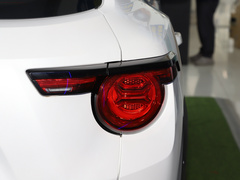 2023款 2.0T 两驱潮野版Plus