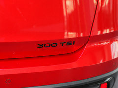 2023款 300TSI 两驱满月版