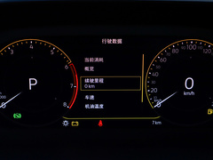 2023款 300TSI 两驱满月版