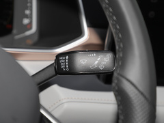 2023款 300TSI 两驱满月版