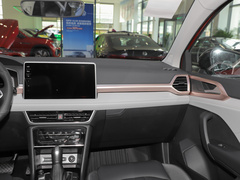 2023款 300TSI 两驱满月版
