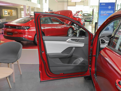 2023款 300TSI 两驱满月版