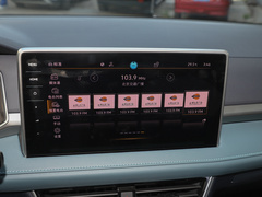 2023款 300TSI 两驱满月版