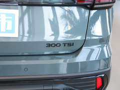 2023款 300TSI 两驱满月版