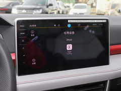 2023款 300TSI 两驱月尊版