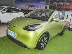 2023款 333km 快享款