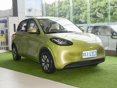2023款 333km 快享款