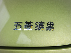 2023款 333km 快享款