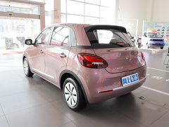2023款 333km 快享款