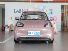 2023款 333km 快享款