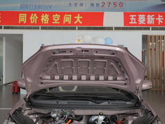2023款 333km 快享款