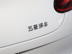 2023款 333km 灵犀互联款