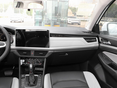 2023款 300TSI DSG尊行版