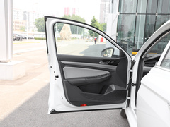 2023款 300TSI DSG尊行版