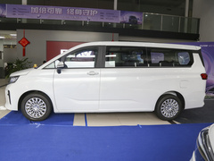 2023款 2.0L CNG长轴创享版 7座