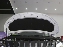 2023款 2.0L CNG长轴创享版 7座