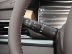 2023款 2.0L CNG长轴商务版 7座