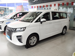 2023款 2.0L CNG長軸豪華營運(yùn)版 7座