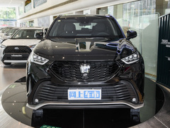2023款 2.5L HEV四驱豪华版