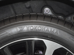 2023款 2.5L HEV四驱豪华版