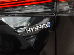 2023款 2.5L HEV四驱豪华版