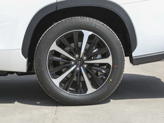 2023款 2.5L HEV四驱尊贵版