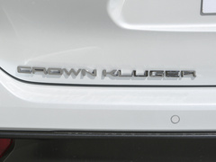 2023款 2.5L HEV四驱尊贵版