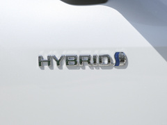 2023款 2.5L HEV四驱尊贵版