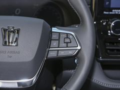2023款 2.5L HEV四驱尊贵版
