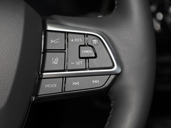 2023款 2.5L HEV四驱旗舰版