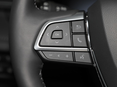 2023款 2.5L HEV四驱旗舰版