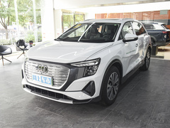 2023款 40 e-tron 闪耀型 锦衣套装