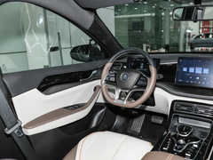 2023款 冠军版 EV 420KM超越型