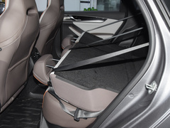 2023款 冠军版 EV 420KM领先型