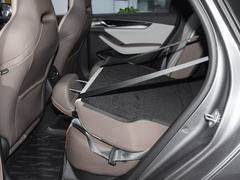 2023款 冠军版 EV 420KM领先型