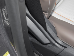2023款 冠军版 EV 420KM领先型