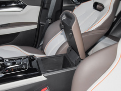 2023款 冠军版 EV 420KM领先型