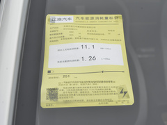 2023款 251km 四叶草 36kW