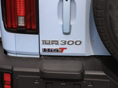 2024款  Hi4-T