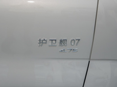 2023款 DM-p 175KM 四驱领航型