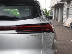 2023款  臻享标准续航版