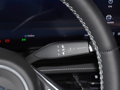 2023款  臻享标准续航版