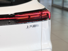 2023款  臻享标准续航版