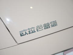 欧拉芭蕾猫 2023款 500km 尊贵型