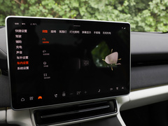 2023款  双电机高性能PLUS