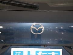 2023款 2.0L 领行版