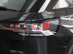 2023款 300TSI 两驱豪华Plus进阶版